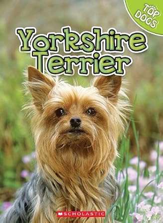 Yorkshire Terrier (Top Dogs) cover image