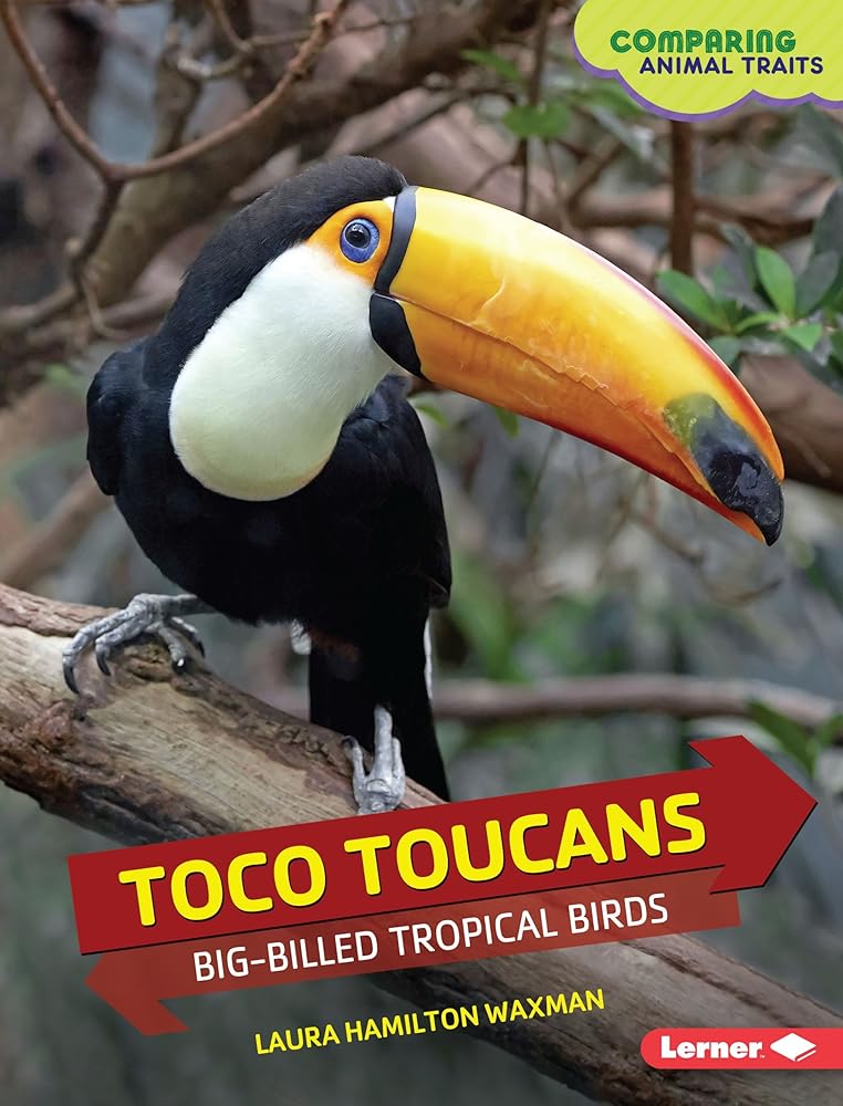 Toco Toucans: Big-Billed Tropical Birds (Comparing Animal Traits) cover image
