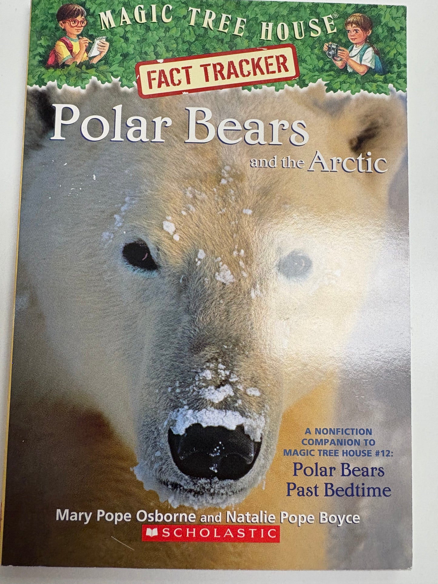 Magic Tree House Polar Bears Fact Checker