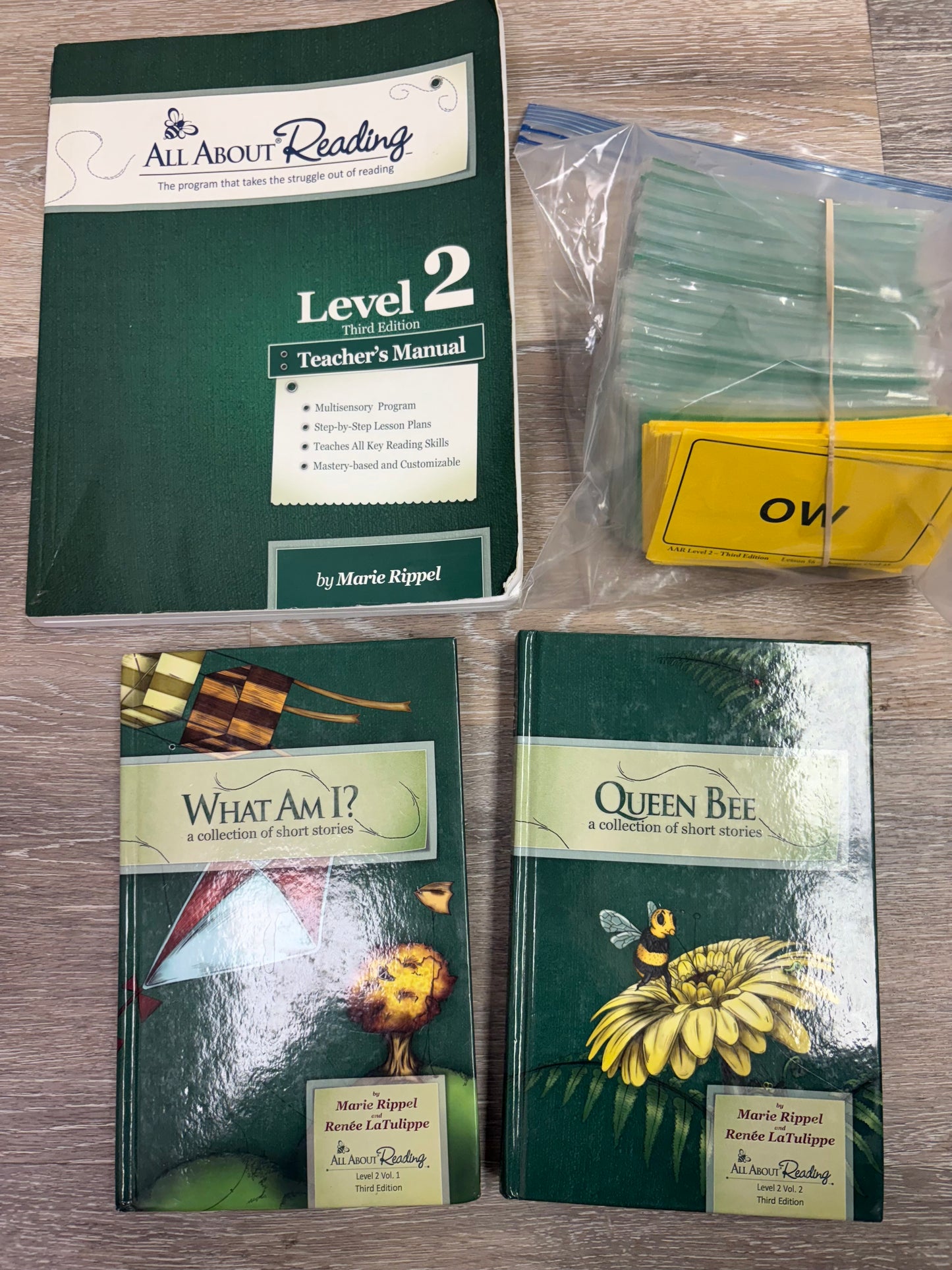 All About Reading Level 2