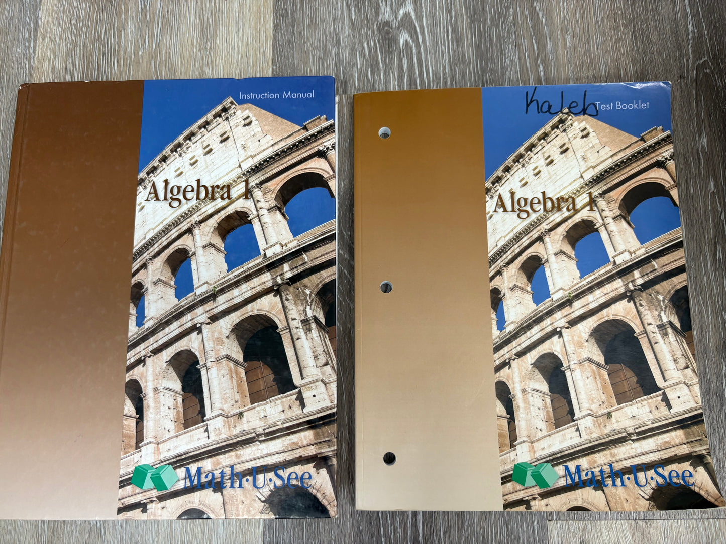 Math U See Algebra I