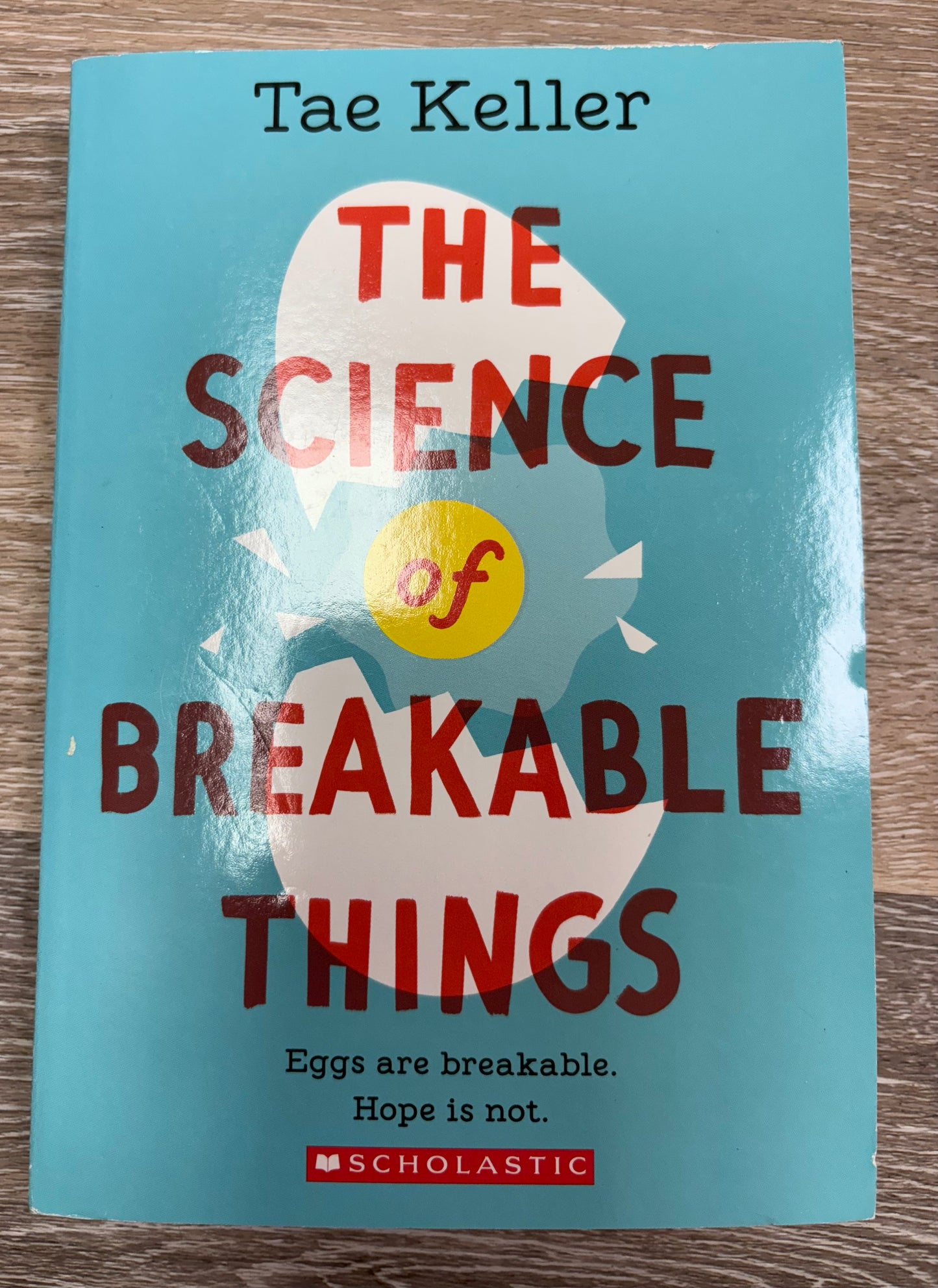 The Science of Breakable Things