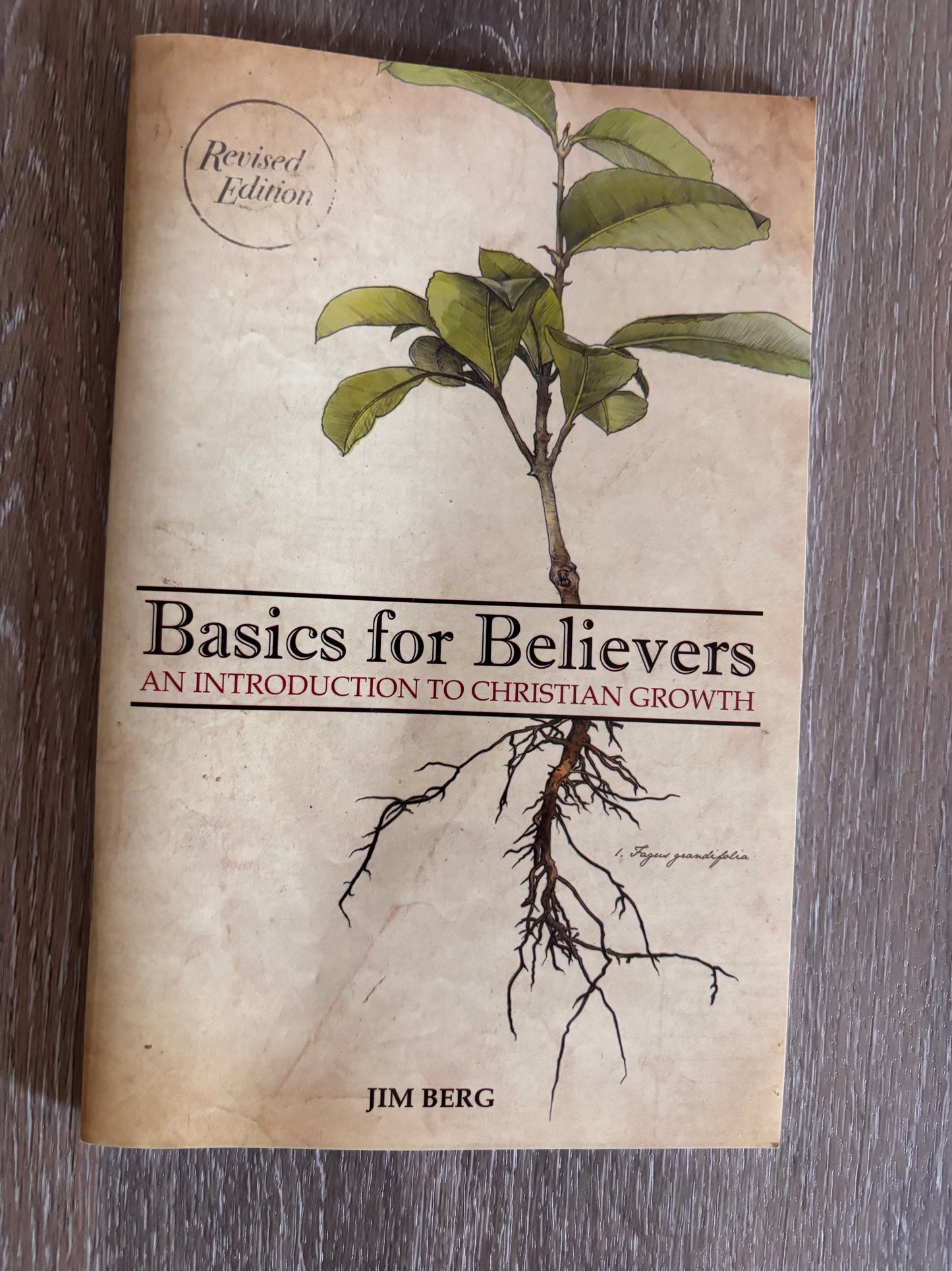 Basics for Believers