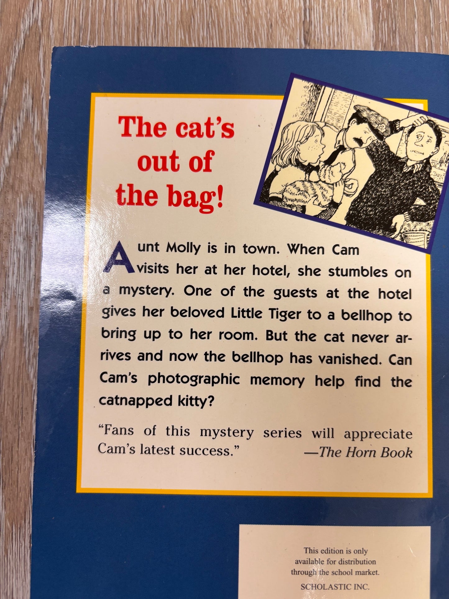 Cam Jansen and the Catnapping Mystery