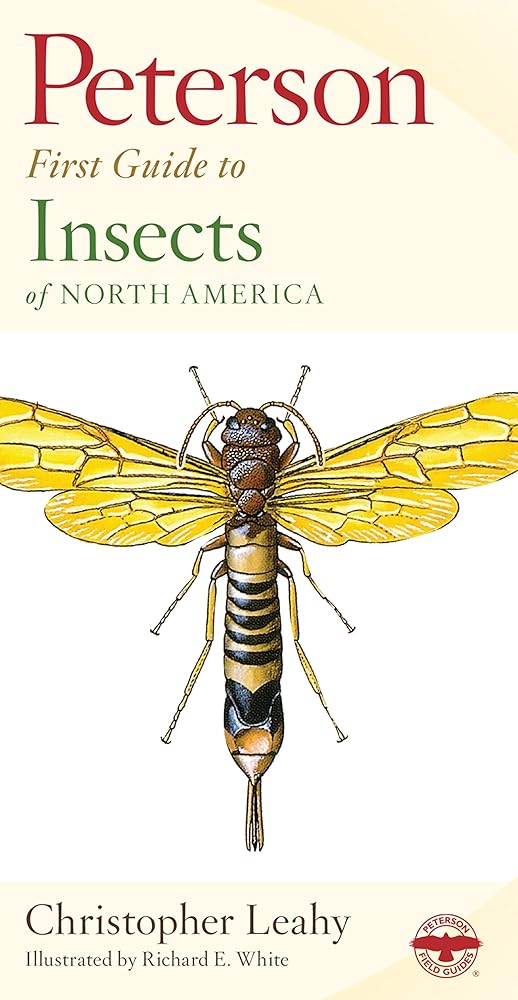 Peterson First Guide To Insects Of North America cover image