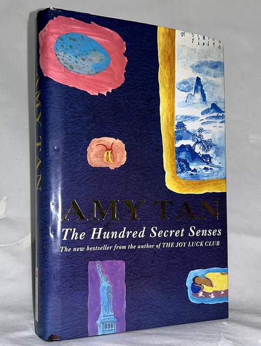 The Hundred Secret Senses cover image