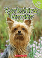 Yorkshire Terrier (Top Dogs) cover image