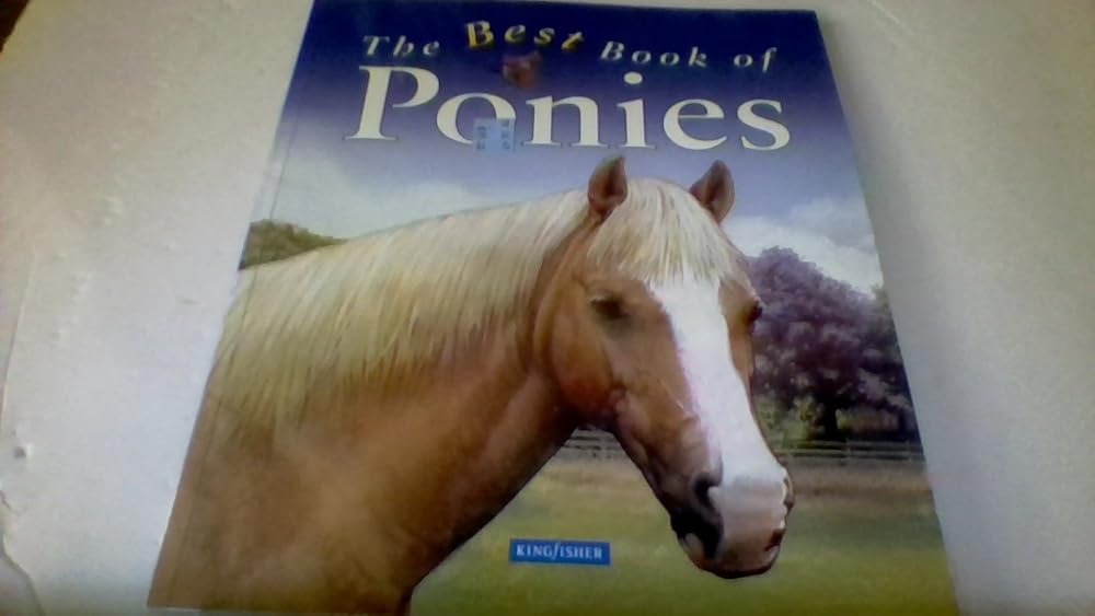 The Best Book of Ponies cover image