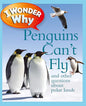 I Wonder Why Penguins Can't Fly: And Other Questions About Polar Lands cover image