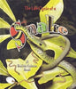 The Life Cycle of a Snake cover image