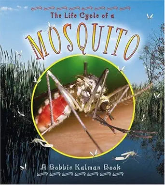 The Life Cycle of a Mosquito (The Life Cycle, 16) cover image