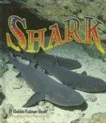 The Life Cycle of a Shark cover image
