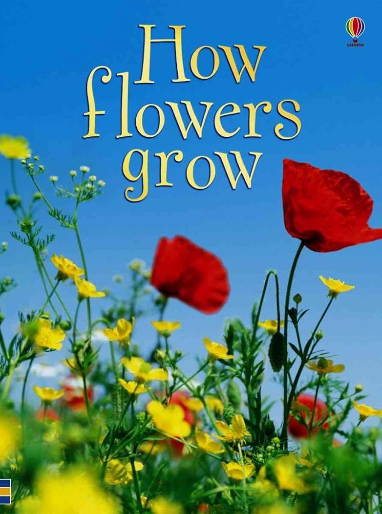 How Flowers Grow (Usborne Beginners, Level 1) cover image