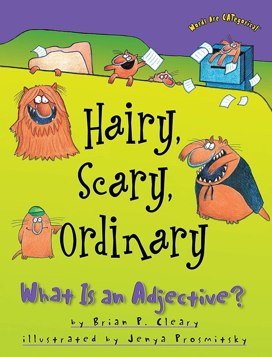 Hairy, Scary, Ordinary: What Is an Adjective? cover image