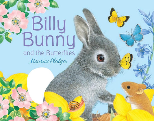 Billy Bunny and the Butterflies (Friendship Tales) cover image