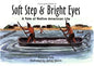 Soft Step & Bright Eyes: A Tale of Native American Life (No. 4 in Suzanne Tate's History Series) cover image