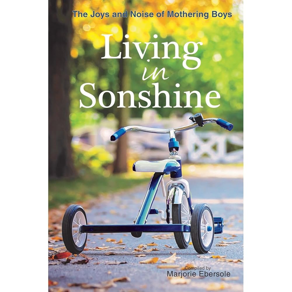 Living in Sonshine cover image