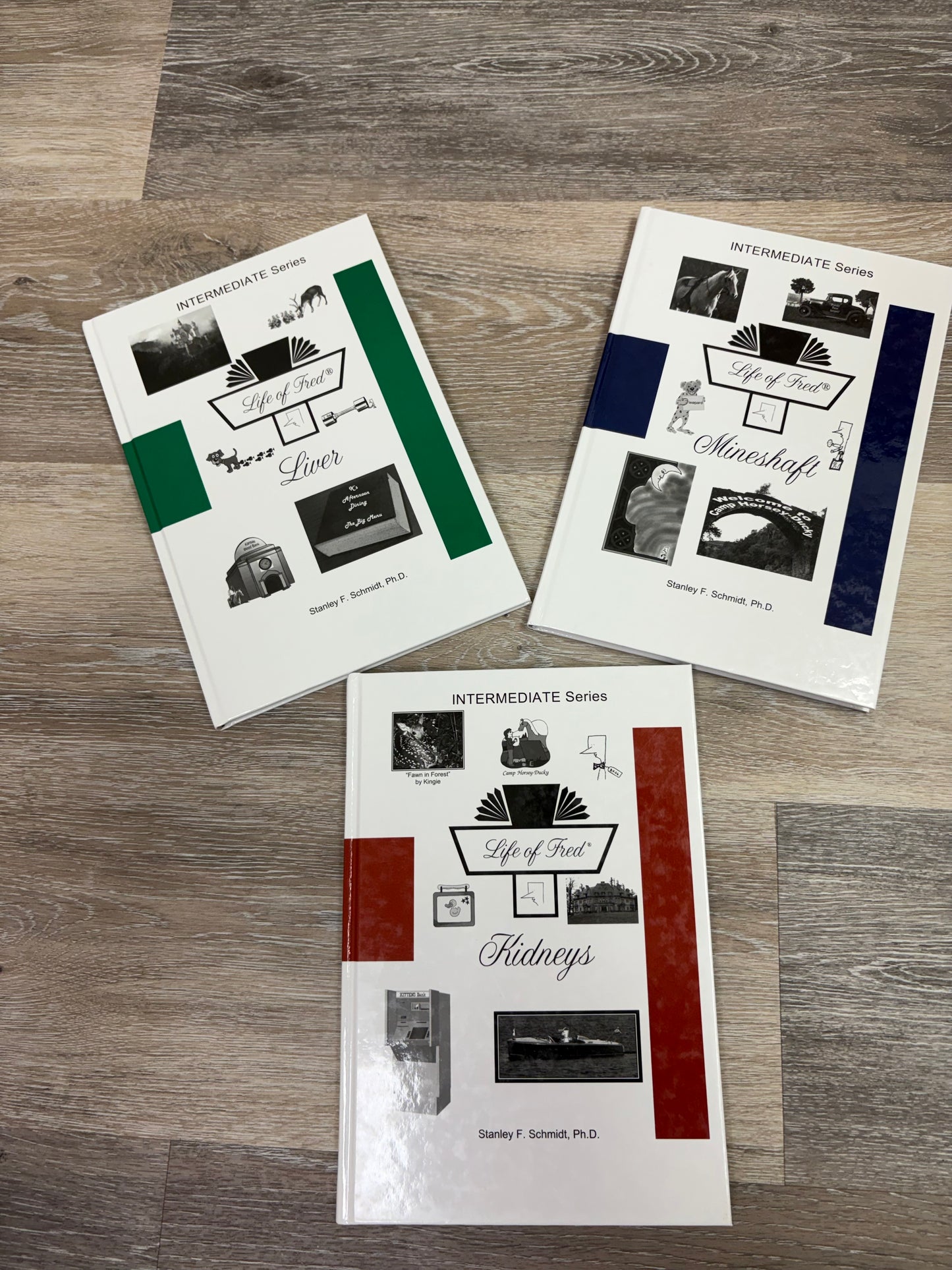 Life of Fred Intermediate Set