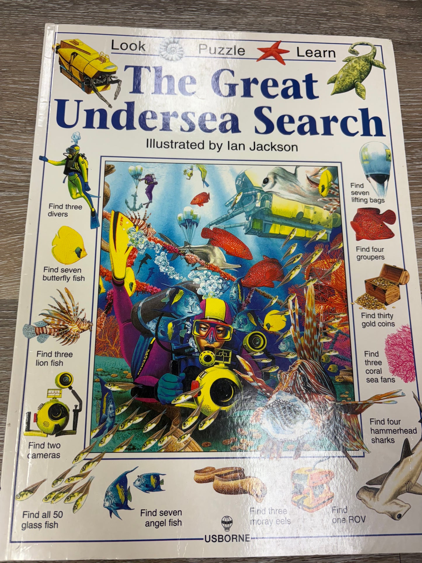 The Great Undersea Search