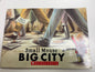Small Mouse Big City