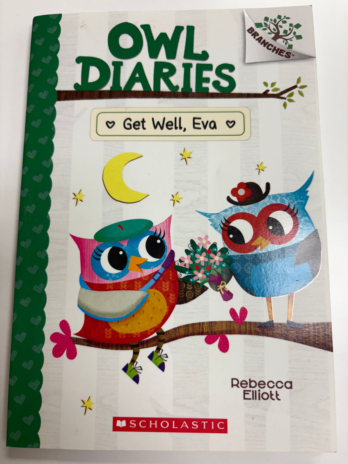 Owl Diaries Get Well, Eva