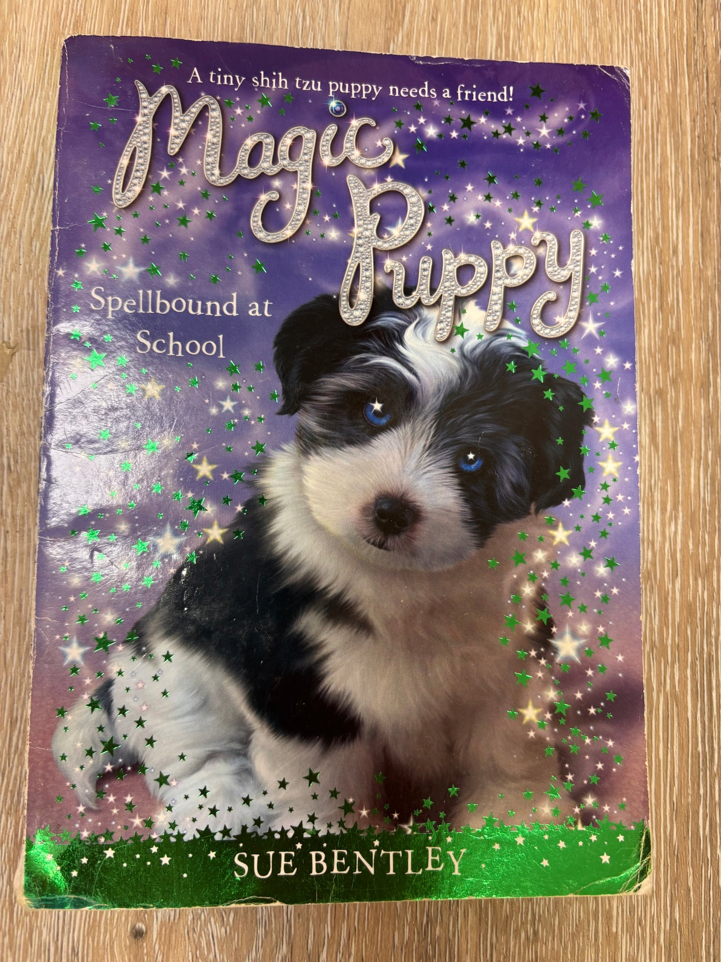 Magic Puppy Spellbound at School
