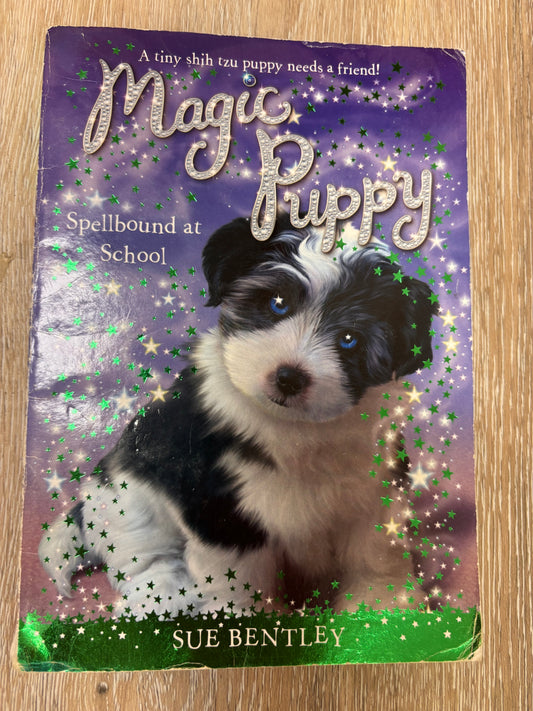 Magic Puppy Spellbound at School